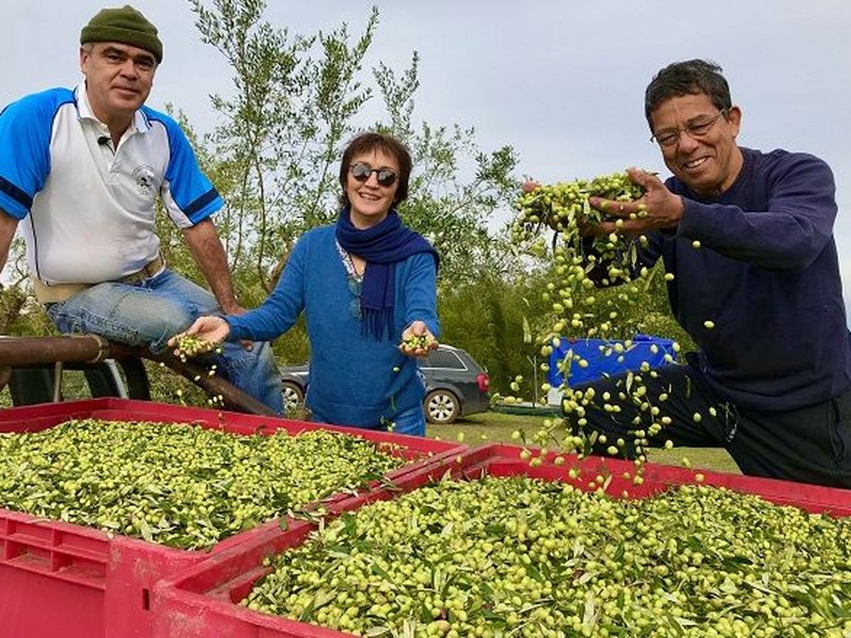 découvrez la grèce, un pays baigné de soleil où la surproduction agricole offre une diversité de produits frais. explorez les saveurs méditerranéennes et laissez-vous séduire par la richesse de son terroir, des marchés locaux aux traditions culinaires.